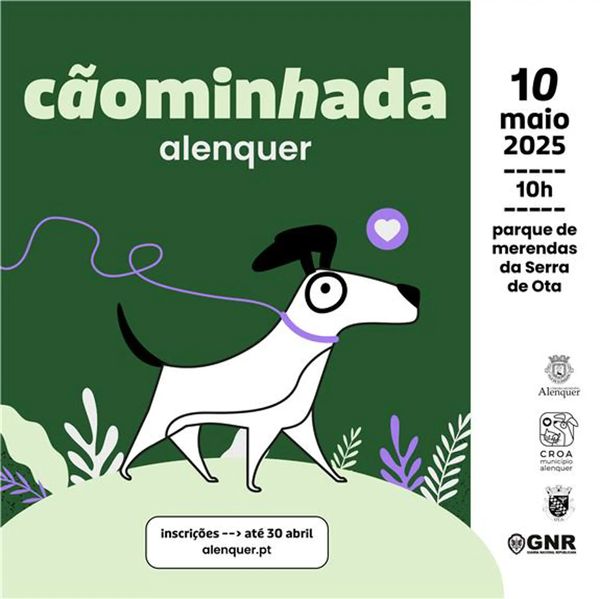 Cãominhada Alenquer